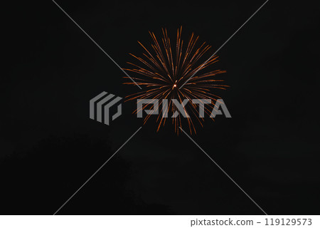 Nakanocho Fireworks Festival in Hamamatsu City as seen from the Tenryu River riverbed (Shizuoka Prefecture) Nakanocho Fireworks Festival in Hamamatsu City as seen from the Tenryu River riverbed (Shizuoka Prefecture) 119129573