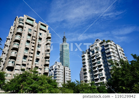 View of Taipei 101 from Elephant Mountain Park (Xinyi District, Taipei City, Taiwan) 119129942