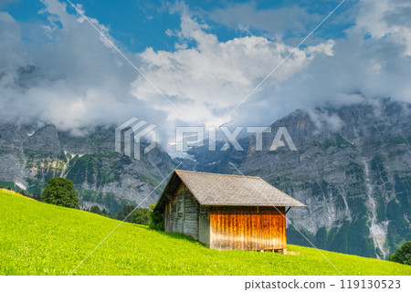 View on the alpine valley Grindelwald. Jungfrau, Switzerland. Under the Bernese alps. Mountain village. 119130523