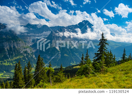 View on the alpine valley Grindelwald. Jungfrau, Switzerland. Under the Bernese alps. Mountain village. 119130524