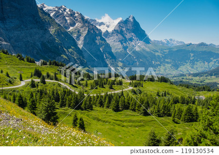 View on the alpine valley Grindelwald. Switzerland. Under the Bernese alps. Mountain village 119130534