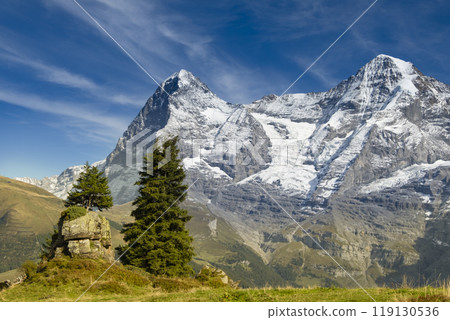Idyllic summer panorama landscape in the Alps with fresh green meadows and snowcapped mountain tops in the background. Switzerland Idyllic summer panorama landscape in the Alps with fresh green meadows and snowcapped mountain tops in the background. Switzerland 119130536