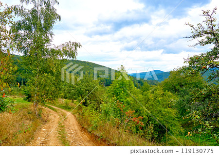 Hiking travel.Dirt country road in bright colored autumn sunny colors  119130775