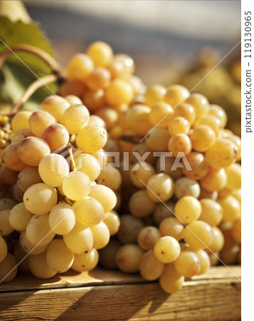 Close-up of Ripe Green Grapes 119130965