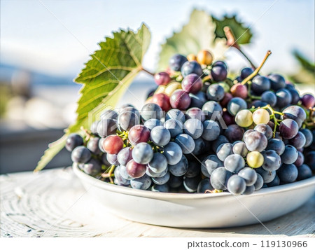 Close-Up of Ripe Purple Grapes 119130966