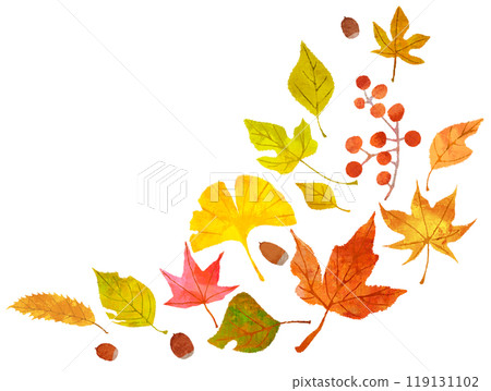 Illustration of autumn leaves, frame, decoration 119131102