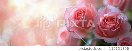 Delicate pink roses in soft morning light with a serene blurred background Delicate pink roses in soft morning light with a serene blurred background 119131806