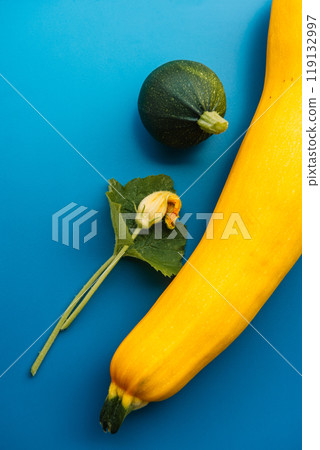 Yellow zucchini, round green zucchini and yellow flower on the blue background. 119132997