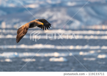 知床冬天 119133711