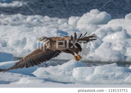 知床冬天 119133751