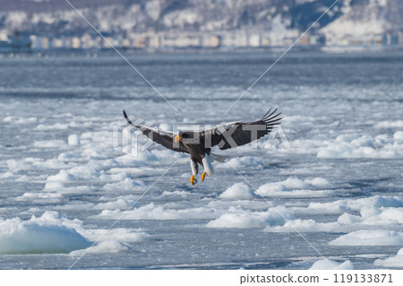 Shiretoko winter Shiretoko winter 119133871