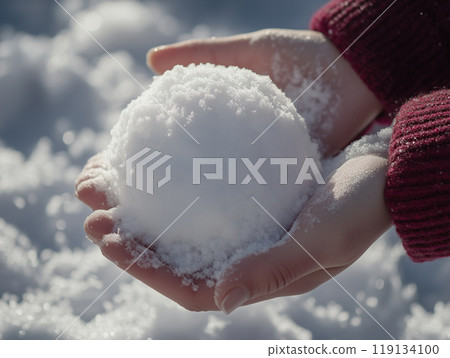 Snowball in hand Snowball in hand 119134100