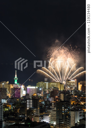 Beppu Christmas Fireworks (Beppu City, Oita Prefecture) 119134480