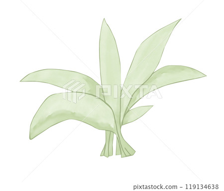 Bush with large leaves illustration color children's light and bright for printing and web use Bush with large leaves illustration color children's light and bright for printing and web use 119134638