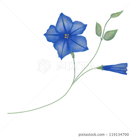 flower, petunia, watercolor 119134700