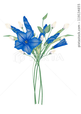 Bouquet of blue and white flowers composition with peonies, grass, stems, wedding watercolor illustration for printing and web design Bouquet of blue and white flowers composition with peonies, grass, stems, wedding watercolor illustration for printing and web design 119134855