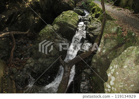 The clear stream of Settsu Gorge in Takatsuki, Osaka, with sunlight filtering through the trees The clear stream of Settsu Gorge in Takatsuki, Osaka, with sunlight filtering through the trees 119134929