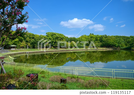 長井公園大池 119135117