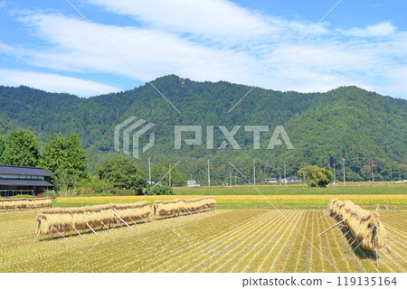 Autumn in Azumino: A landscape with a hanging curtain Autumn in Azumino: A landscape with a hanging curtain 119135164