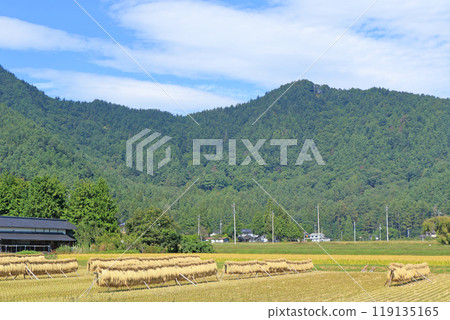 Autumn in Azumino: A landscape with a hanging curtain 119135165