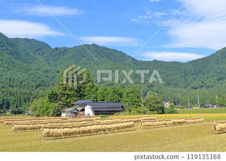 Autumn in Azumino: A landscape with a hanging curtain 119135168