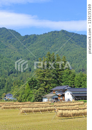 Autumn in Azumino: A landscape with a hanging curtain 119135169