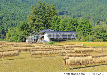 Autumn in Azumino: A landscape with a hanging curtain 119135236