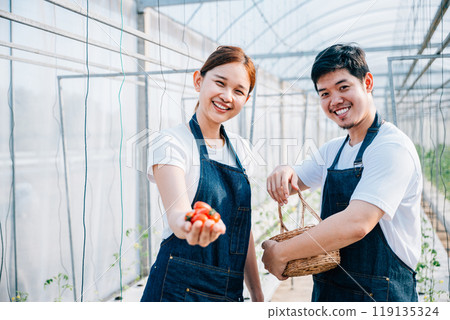 Cheerful couple proud farmers holding fresh tomatoes and vegetables in greenhouse. Their confident portrait signifies successful family-owned business rooted in modern horticulture and nature season. Cheerful couple proud farmers holding fresh tomatoes and vegetables in greenhouse. Their confident portrait signifies successful family-owned business rooted in modern horticulture and nature season. 119135324