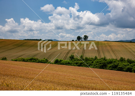 The earth and hills signaling the end of summer 119135484