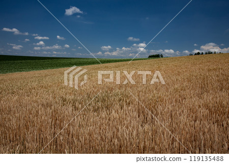 The earth and hills signaling the end of summer The earth and hills signaling the end of summer 119135488