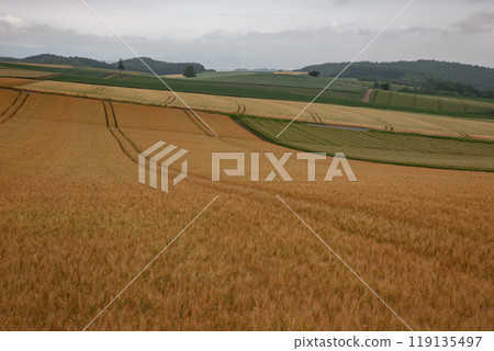The earth and hills signaling the end of summer The earth and hills signaling the end of summer 119135497