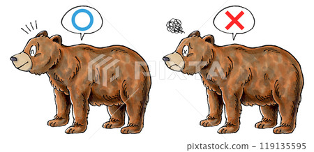 Judgment Brown Bear Set (True or False) 119135595