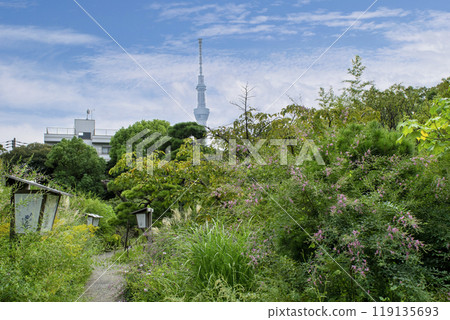 Tokyo, Mukojima Hyakkaen, Early Autumn, Hagi Landscape, Nationally Designated Place of Scenic Beauty Tokyo, Mukojima Hyakkaen, Early Autumn, Hagi Landscape, Nationally Designated Place of Scenic Beauty 119135693