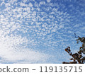 Autumn morning sky 119135715