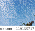 Autumn sky full of small clouds 119135717