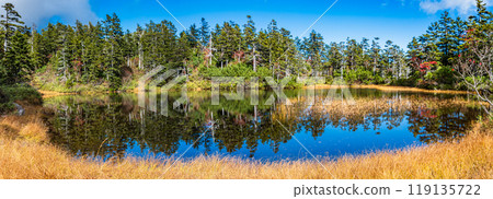 Daisetsu Kogen Onsen Swamp A tour of the swamps and ponds scattered at the foot of Takanegahara in the Daisetsu Mountains, with beautiful autumn foliage and spring skunk cabbage 119135722