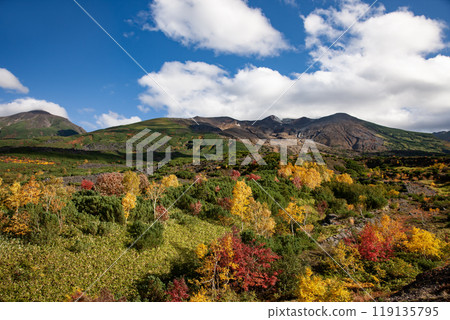 十勝山的壯麗秋葉 十勝山的壯麗秋葉 119135795