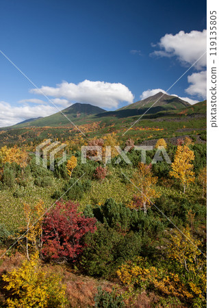 Spectacular autumn foliage at Mt. Tokachi Spectacular autumn foliage at Mt. Tokachi 119135805