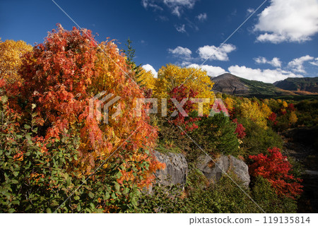 十勝山的壯麗秋葉 119135814