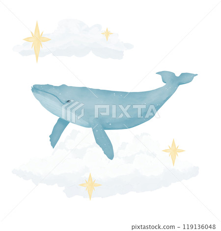 whale, ocean, sky 119136048