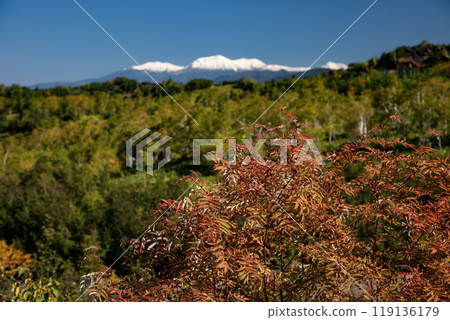 美麗的晨霧山丘與土地 美麗的晨霧山丘與土地 119136179