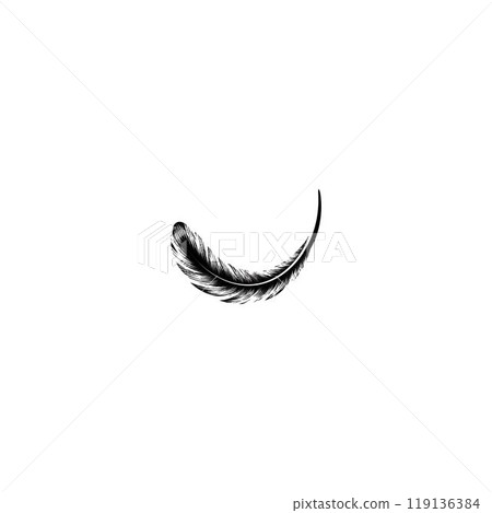 feather logo 119136384