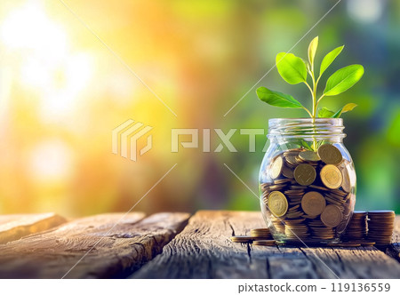 永續投資和成長的形象 119136559