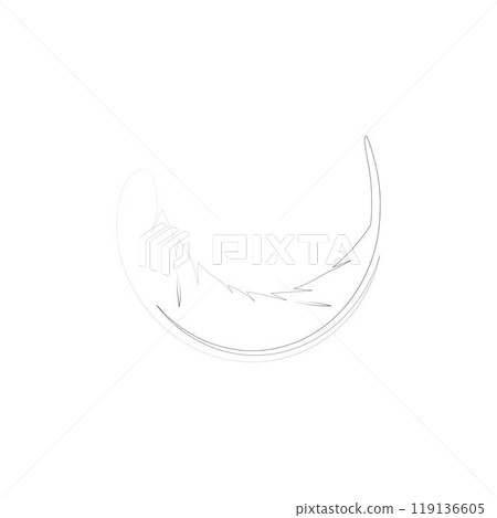 feather logo 119136605