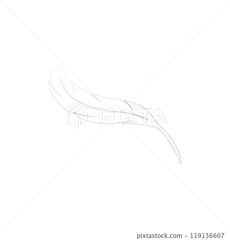 feather logo 119136607