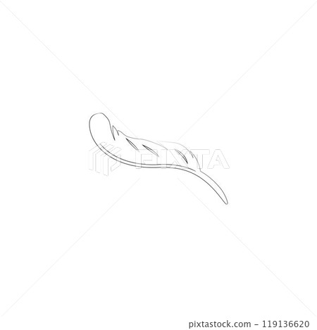 feather logo 119136620
