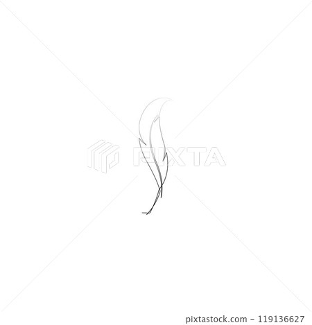 feather logo 119136627