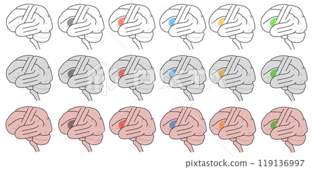 布羅卡場圖 119136997