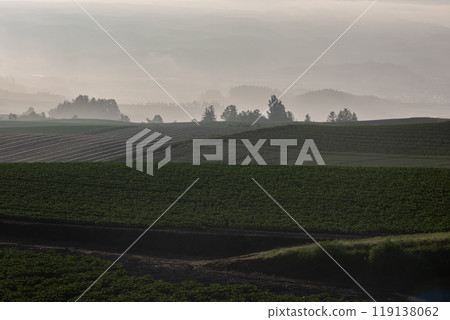 早春美麗的山 119138062