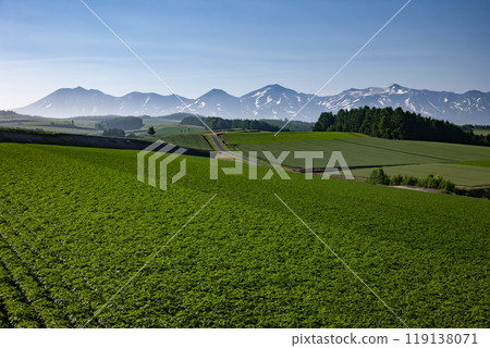 早春美麗的山 早春美麗的山 119138071